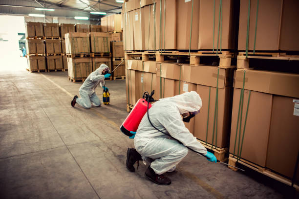 Best Mosquito Control Services  in Townsend, MT