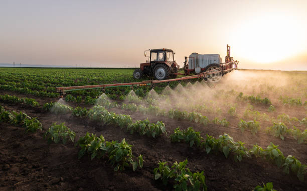 Best Best Pest Control Companies  in Townsend, MT