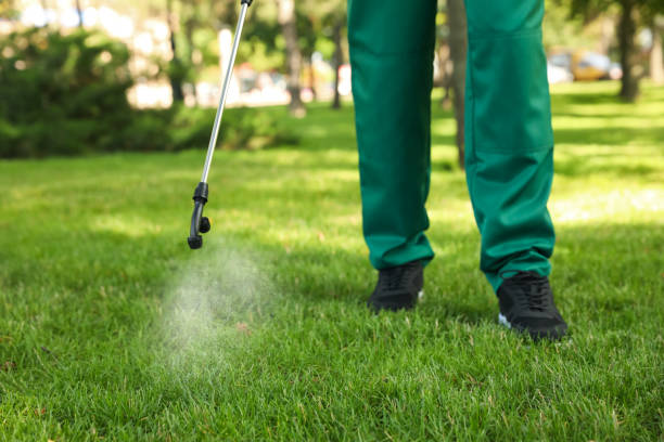 Best Pest Inspection Near Me  in Townsend, MT