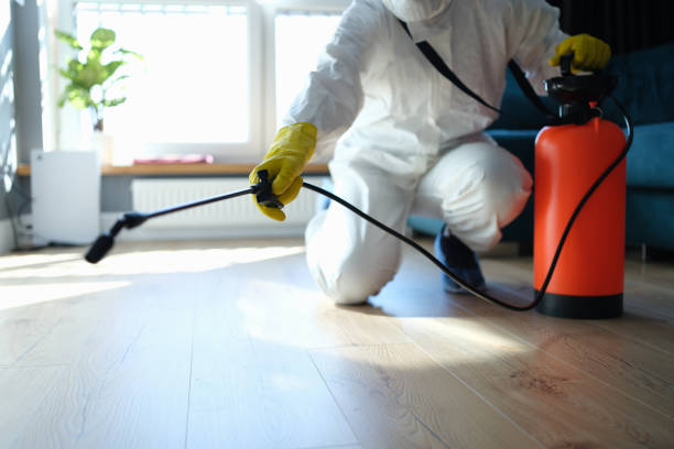Best Best Pest Control Companies  in Townsend, MT