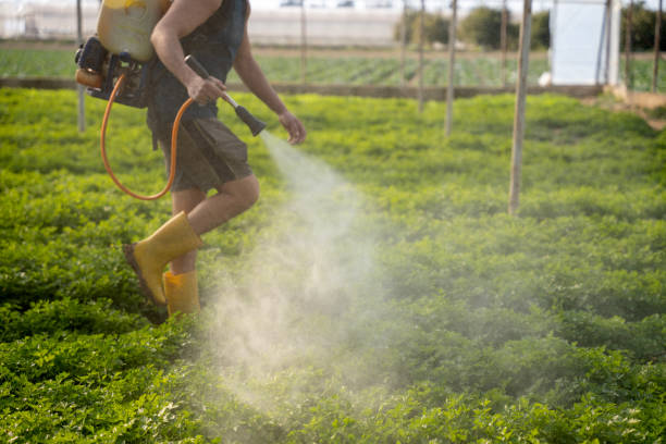 Best Pest Prevention Services  in Townsend, MT