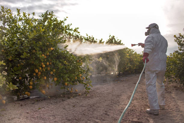 Best Mosquito Control Services  in Townsend, MT