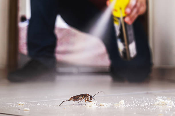 Best Cockroach Control Services  in Townsend, MT