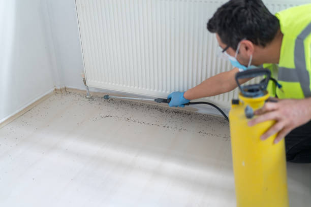 Professional Pest Control in Townsend, MT